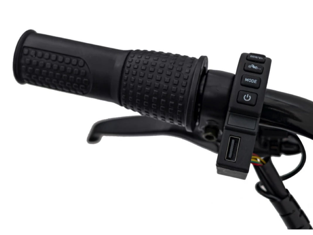 Chopper Warrior, 24 Volt Elektro-Kindermotorrad