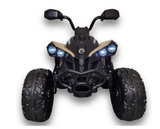 CAN-AM-Quad Renegade