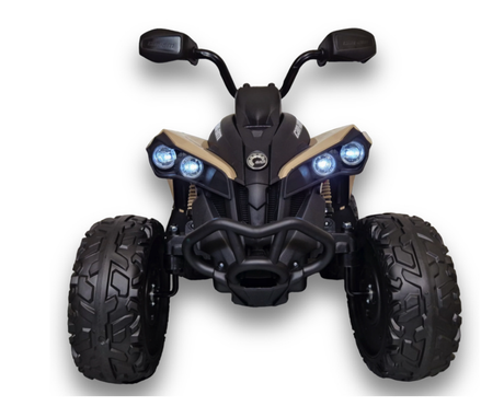 CAN-AM-Quad Renegade
