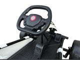 ROLLZONE Drift-Gokart, 24-Volt-Kart mit 200-Watt-Motoren, Neuauflage!