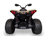 CAN-AM-Quad Renegade