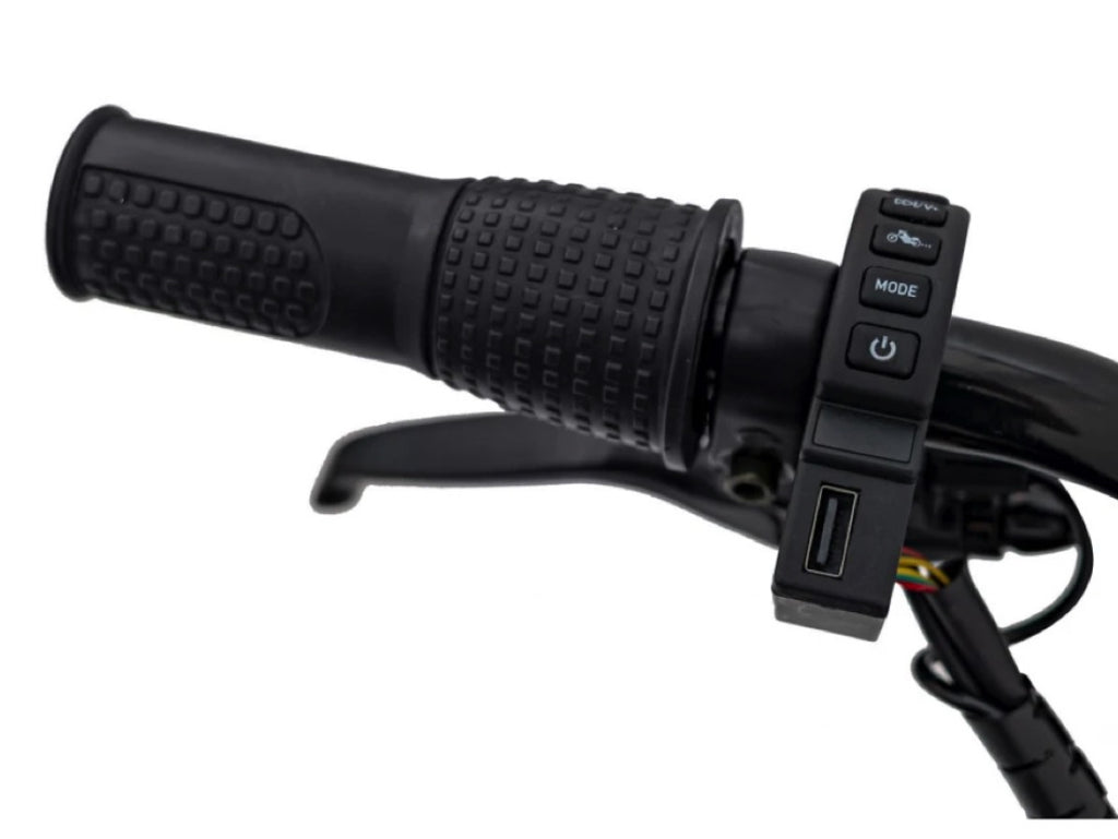 Chopper Warrior, 24 Volt Elektro-Kindermotorrad