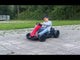 ROLLZONE Drift-Gokart, 24-Volt-Kart mit 200-Watt-Motoren, Neuauflage!